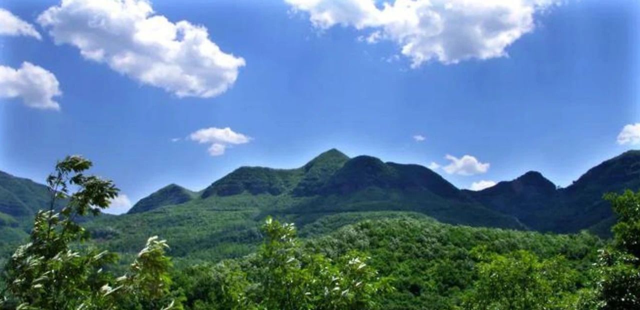 Screenshot 2024-07-17 at 21.38.40.JPG