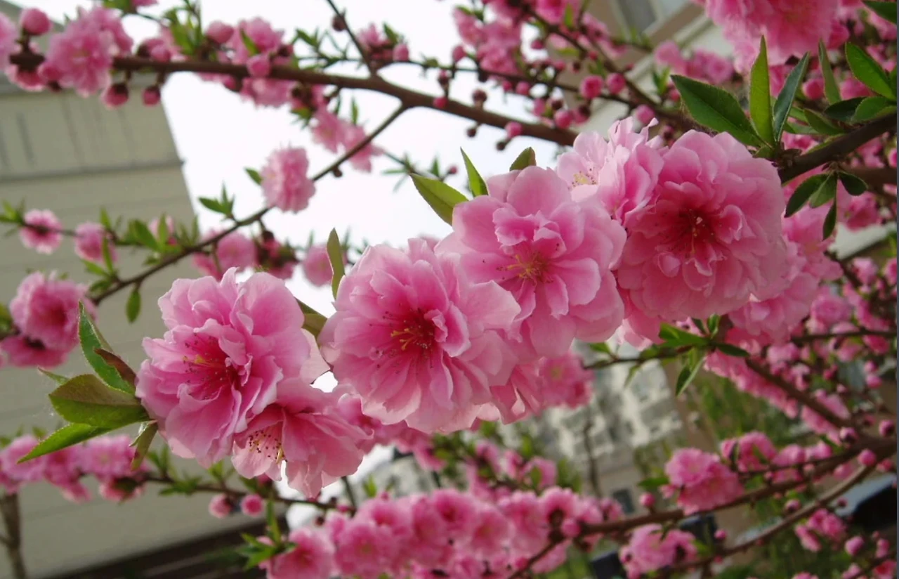 Screenshot 2024-05-15 at 21.51.21.JPG