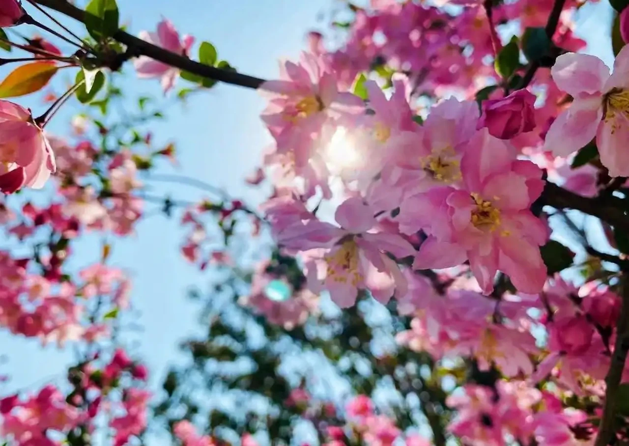 Screenshot 2024-12-19 at 23.20.24.JPG