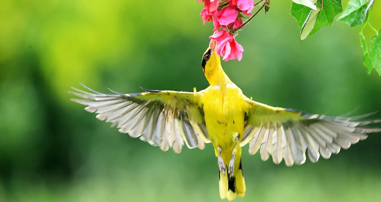 Screenshot 2024-04-24 at 15.25.55.JPG