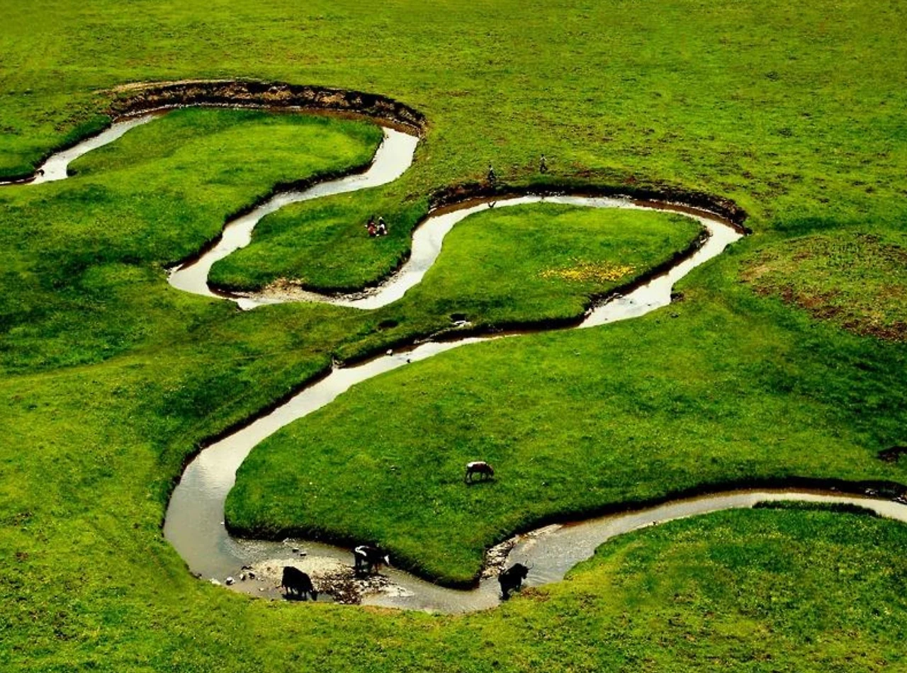 Screenshot 2024-07-08 at 01.00.21.JPG