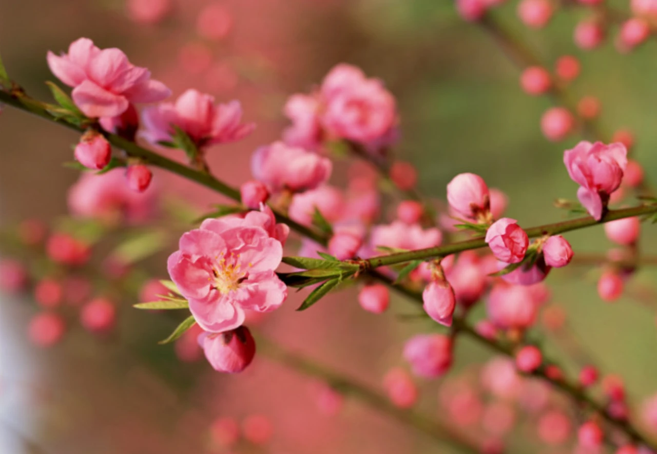 Screenshot 2024-05-26 at 15.30.54.JPG