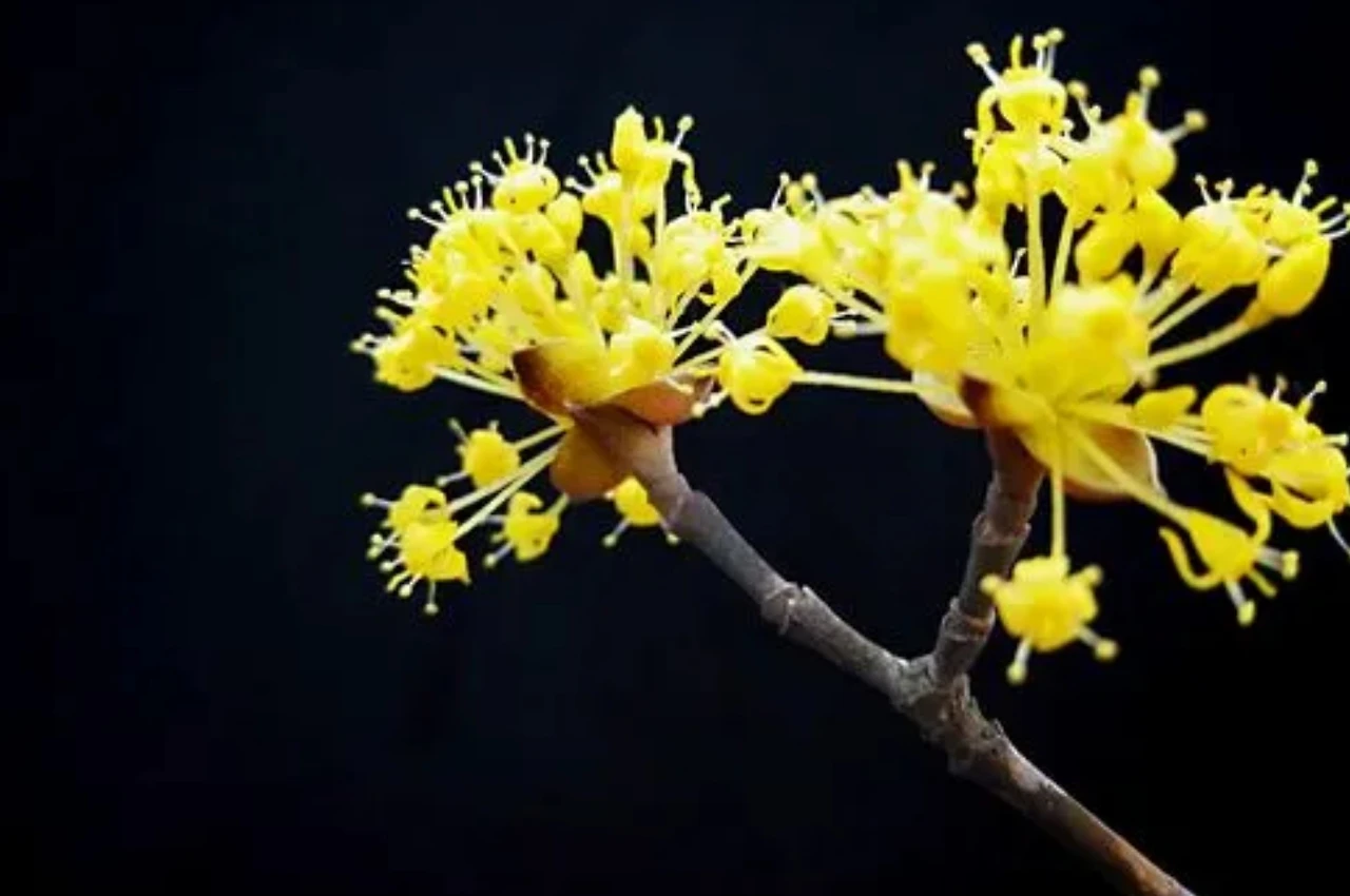 Screenshot 2024-02-19 at 00.39.05.JPG