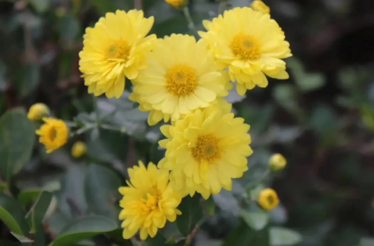 Screenshot 2024-07-19 at 22.09.29.JPG