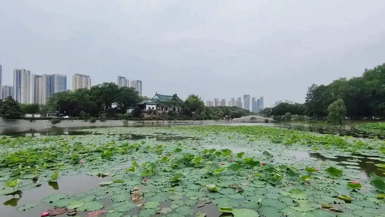 Screenshot 2024-12-20 at 20.34.36.JPG