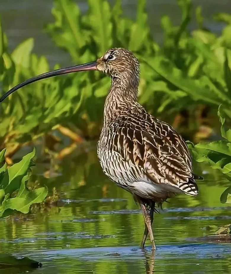 Screenshot 2025-05-27 at 12.28.39.JPG