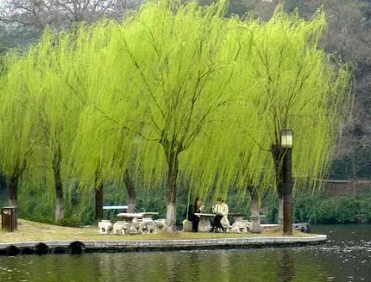 Screenshot 2024-06-22 at 23.50.52.JPG