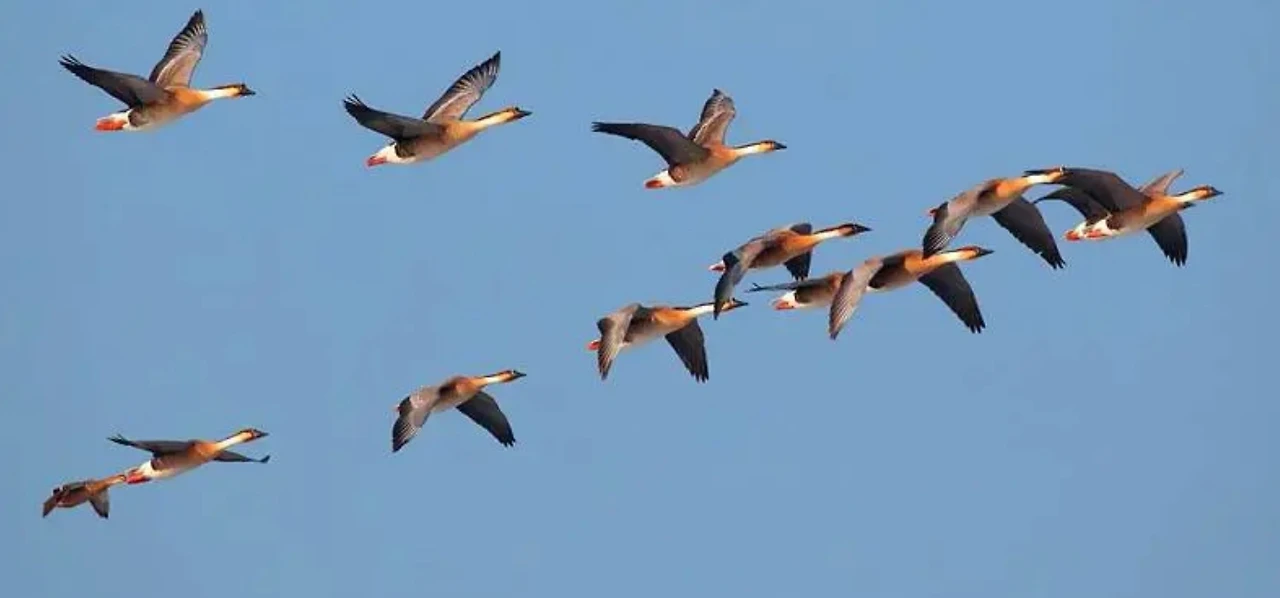 Screenshot 2024-06-22 at 19.23.29.JPG