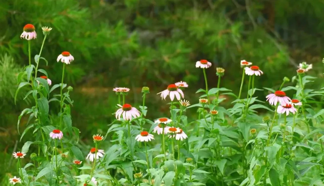 Screenshot 2024-07-18 at 23.58.39.JPG