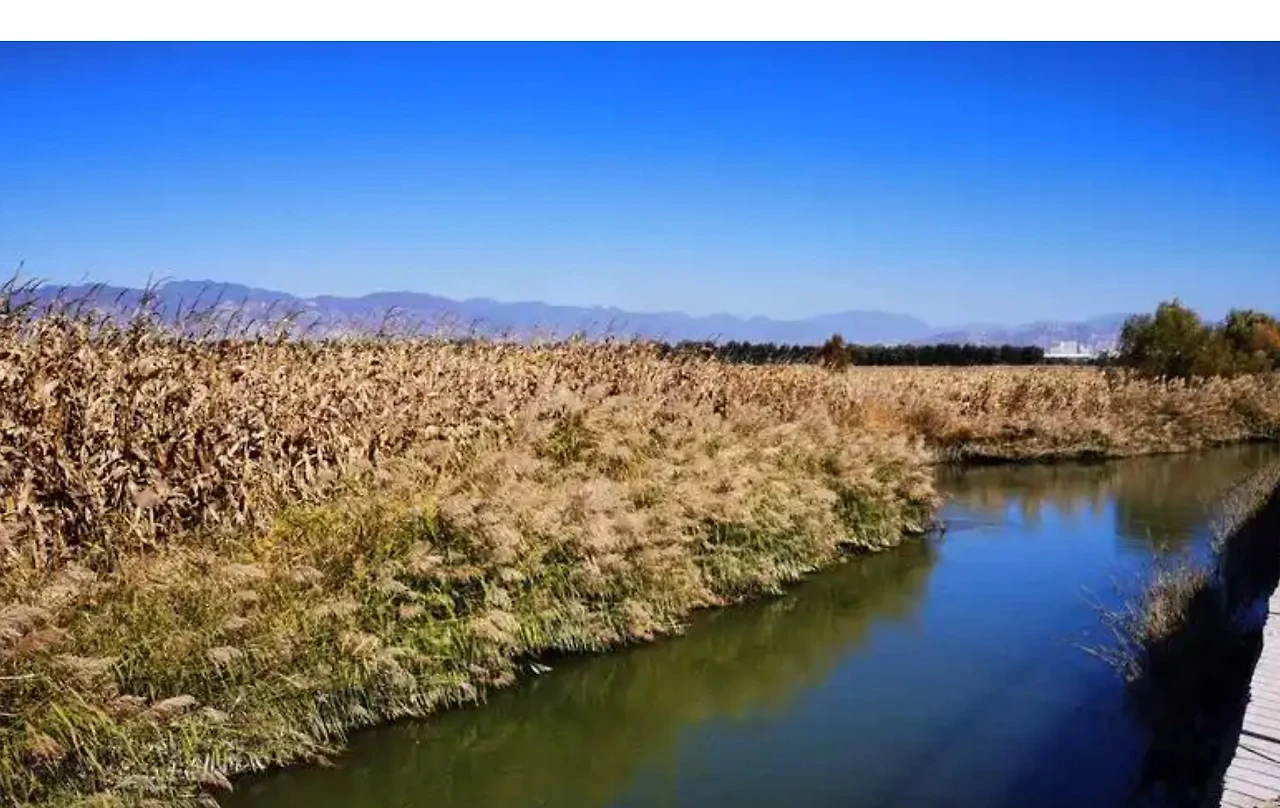 Screenshot 2024-12-18 at 00.11.22.JPG