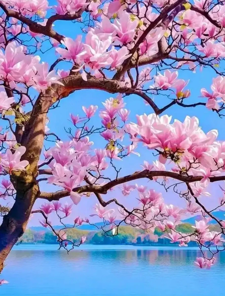 Screenshot 2024-12-18 at 21.21.57.JPG