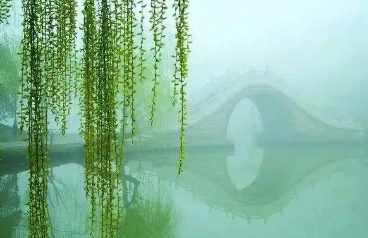 Screenshot 2024-12-19 at 00.49.18.JPG