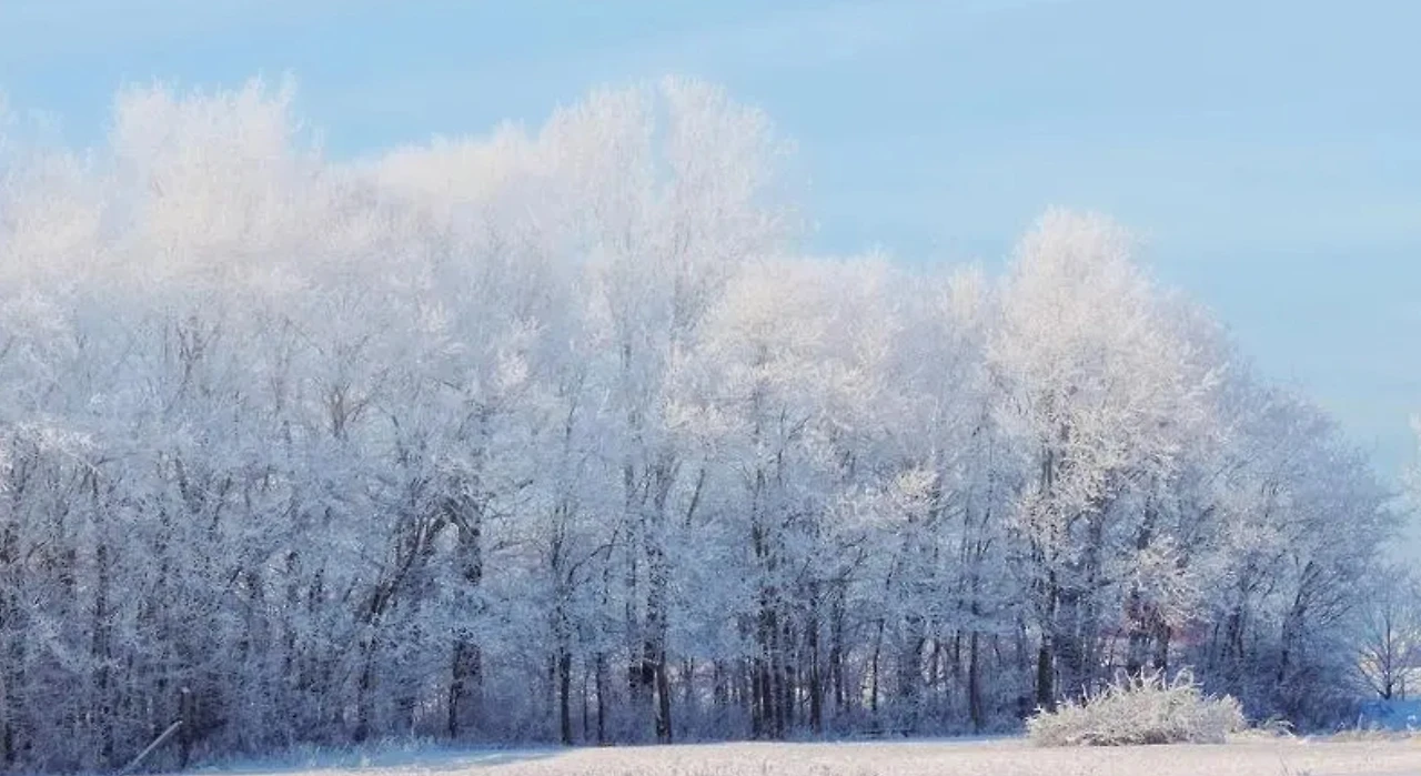 Screenshot 2024-04-28 at 20.47.05.JPG