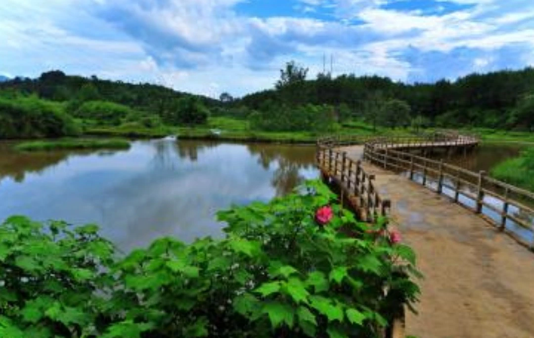 Screenshot 2024-12-19 at 01.25.01.JPG