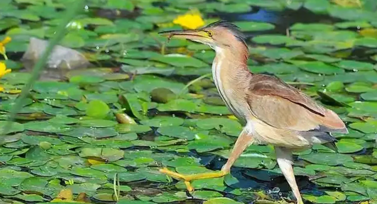 Screenshot 2025-05-27 at 12.29.23.JPG