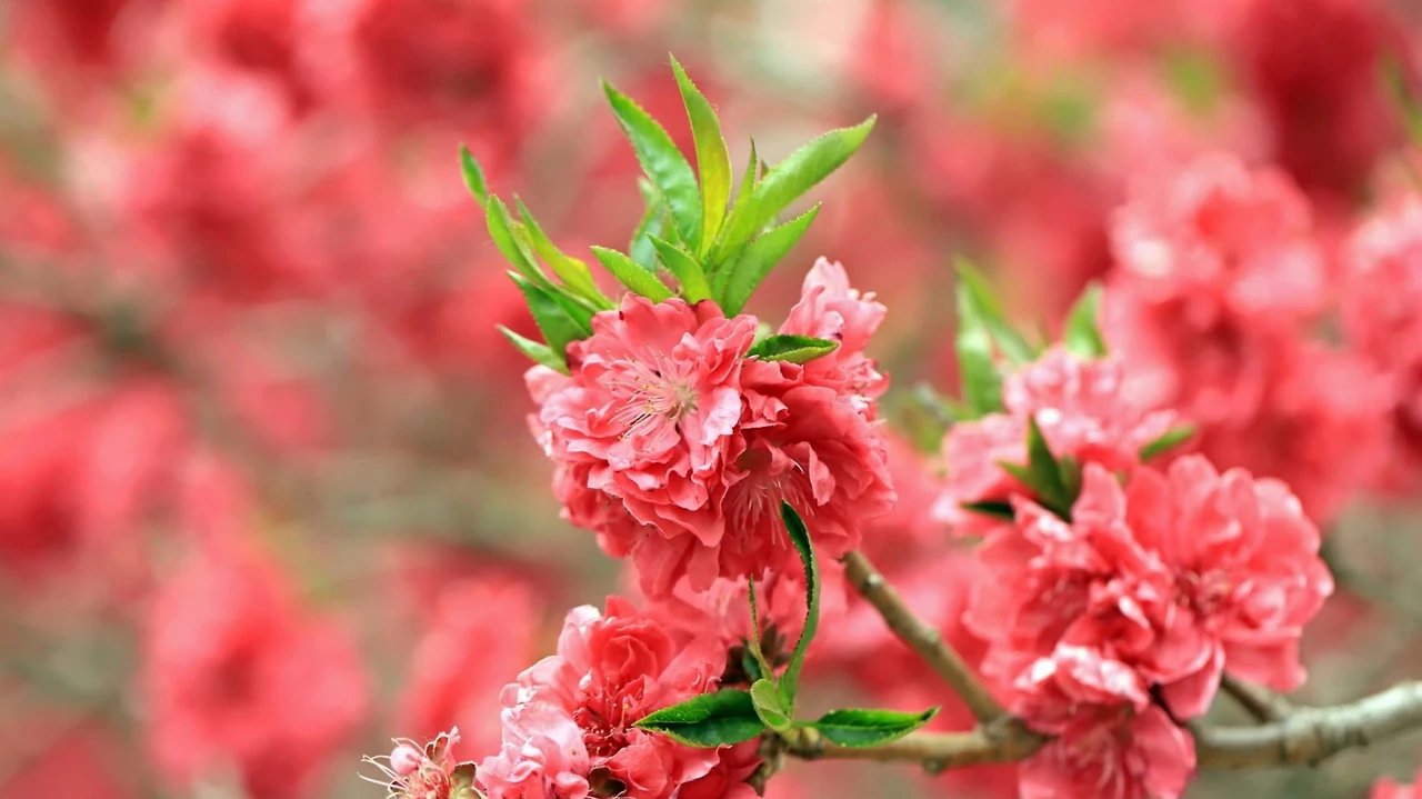 Screenshot 2024-05-15 at 21.52.27.JPG