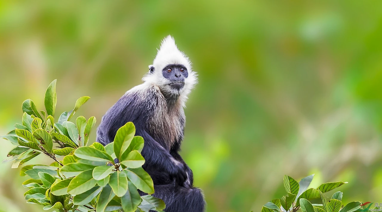 Screenshot 2024-04-23 at 23.23.10.JPG