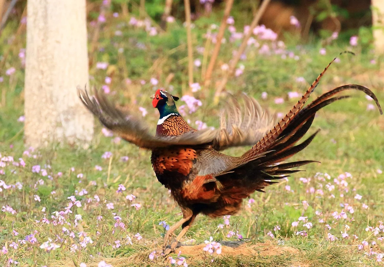 Screenshot 2024-07-20 at 00.01.51.JPG