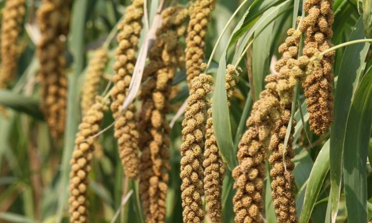 Screenshot 2024-07-08 at 19.07.44.JPG