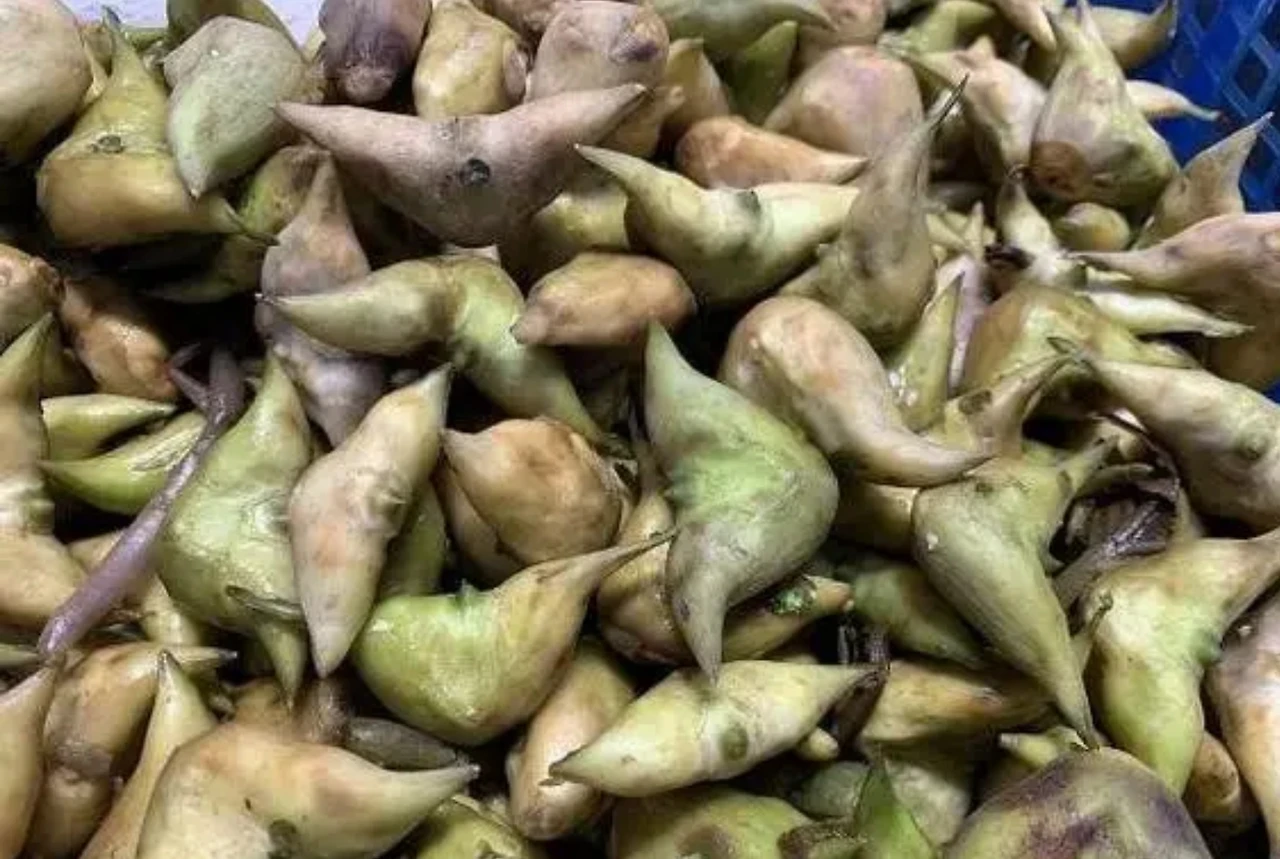 Screenshot 2024-07-13 at 23.23.31.JPG