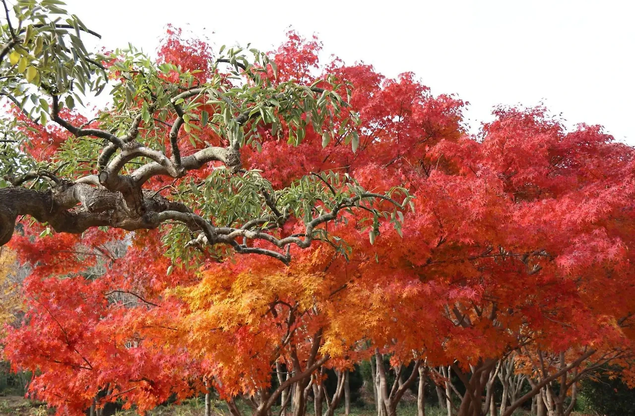 Screenshot 2024-05-09 at 23.03.27.JPG