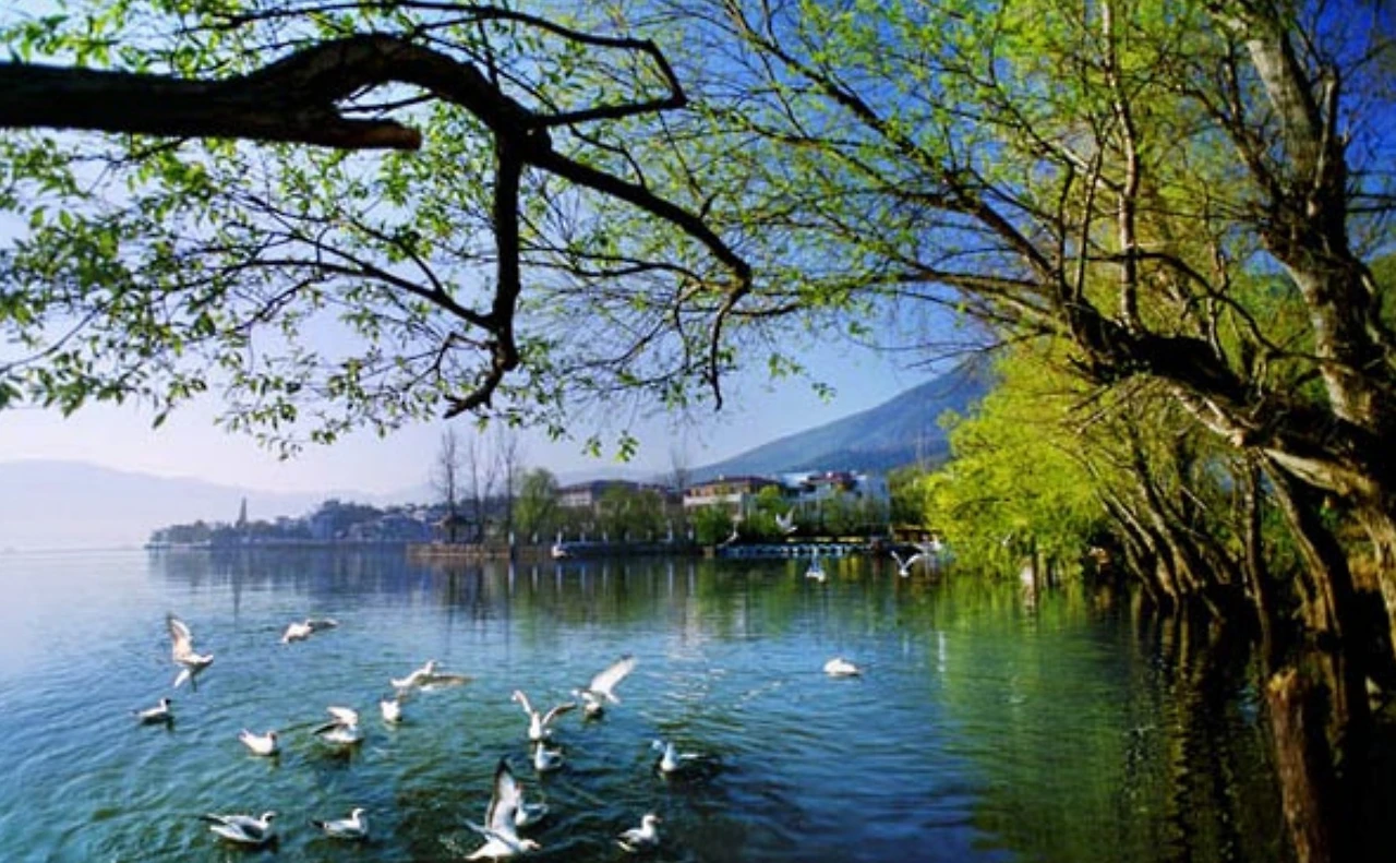 Screenshot 2024-04-23 at 23.24.16.JPG