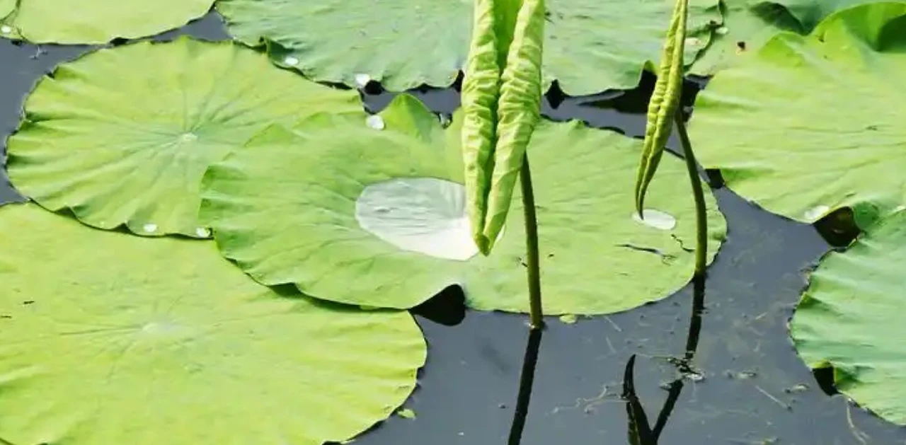 Screenshot 2025-04-06 at 14.33.30.JPG