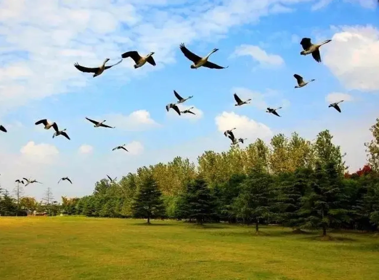 Screenshot 2024-07-13 at 00.50.10.JPG