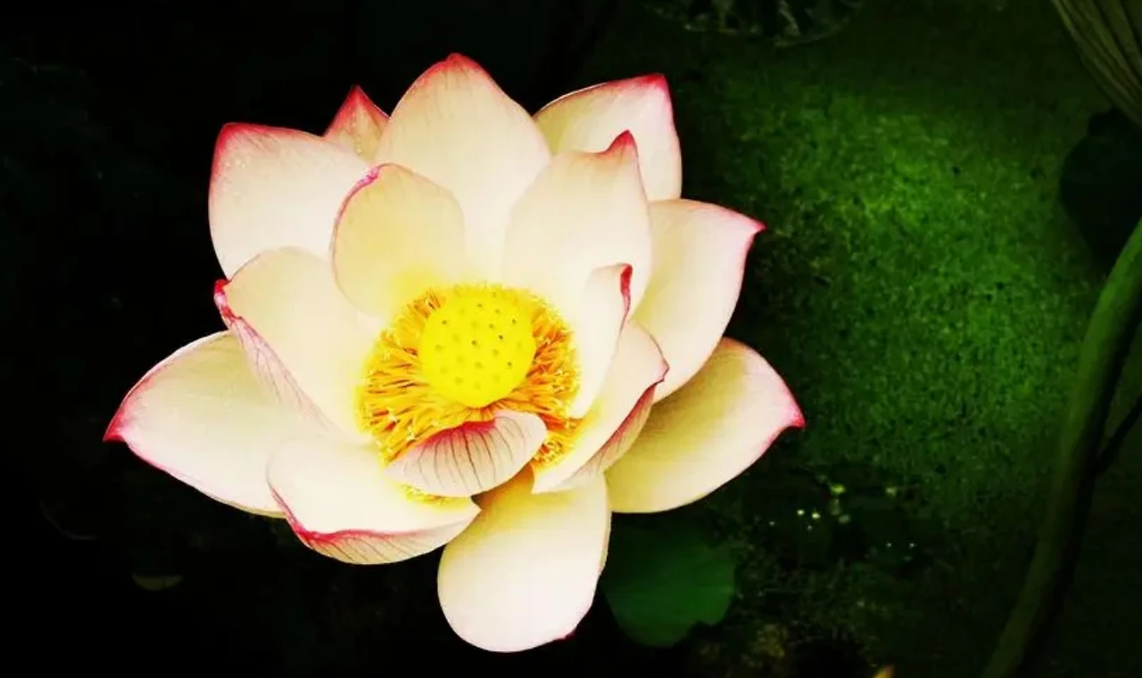 Screenshot 2024-07-15 at 23.07.11.JPG