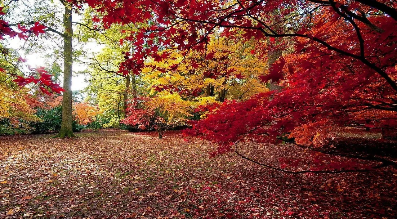 Screenshot 2024-05-12 at 22.48.02.JPG