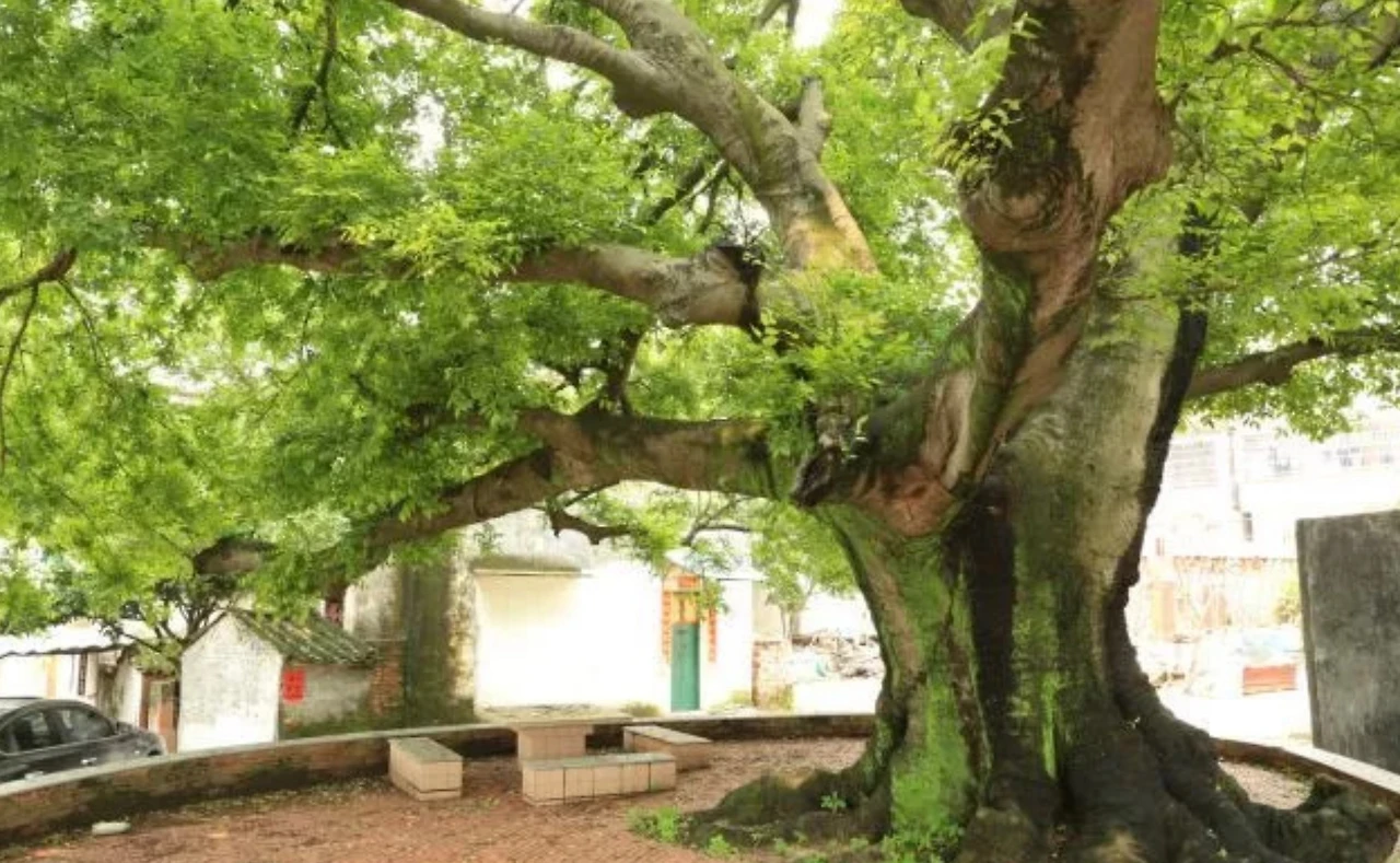 Screenshot 2024-06-23 at 00.45.21.JPG