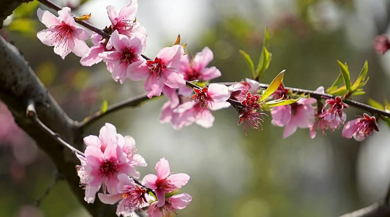 Screenshot 2024-07-15 at 22.01.39.JPG