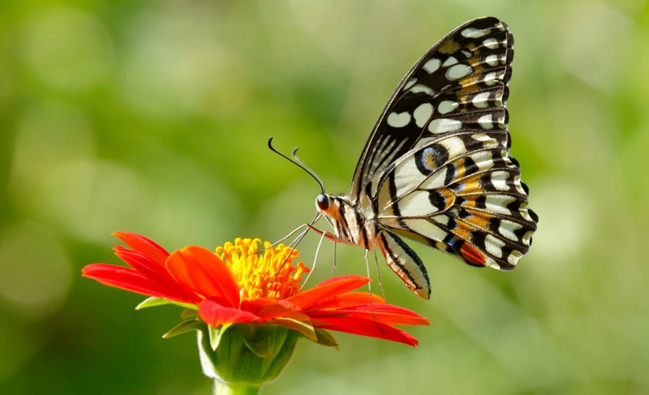 Screenshot 2024-06-03 at 23.53.52.JPG