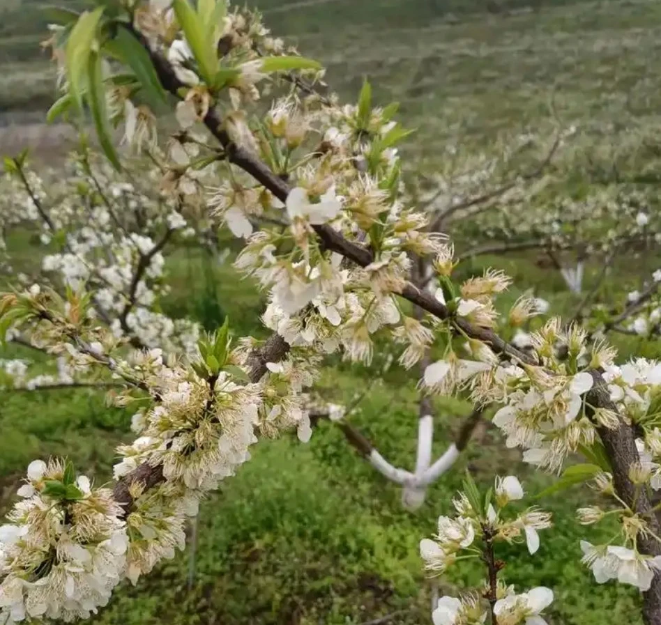 Screenshot 2024-12-20 at 23.22.28.JPG