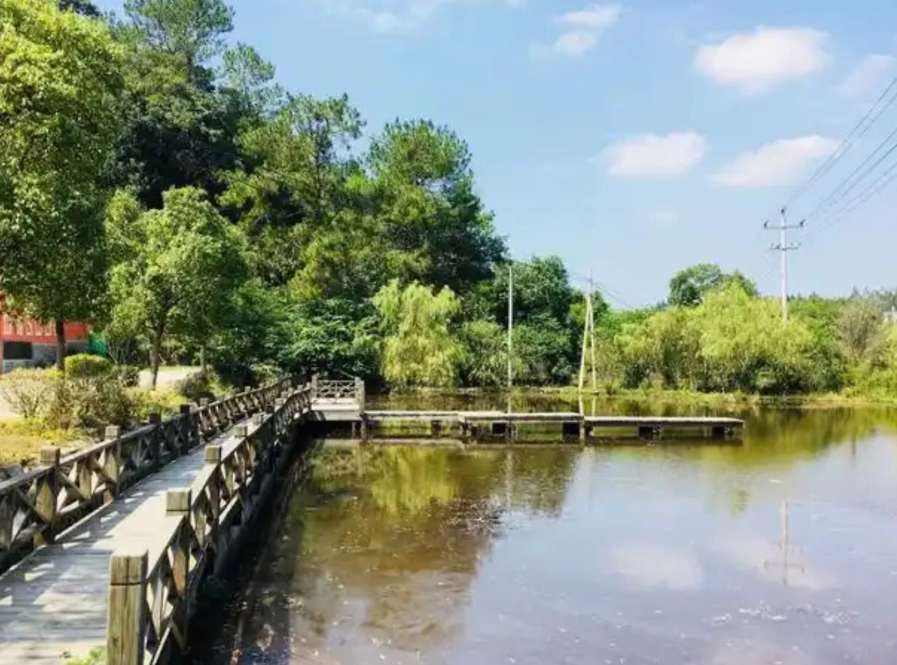 Screenshot 2024-12-19 at 01.24.36.JPG