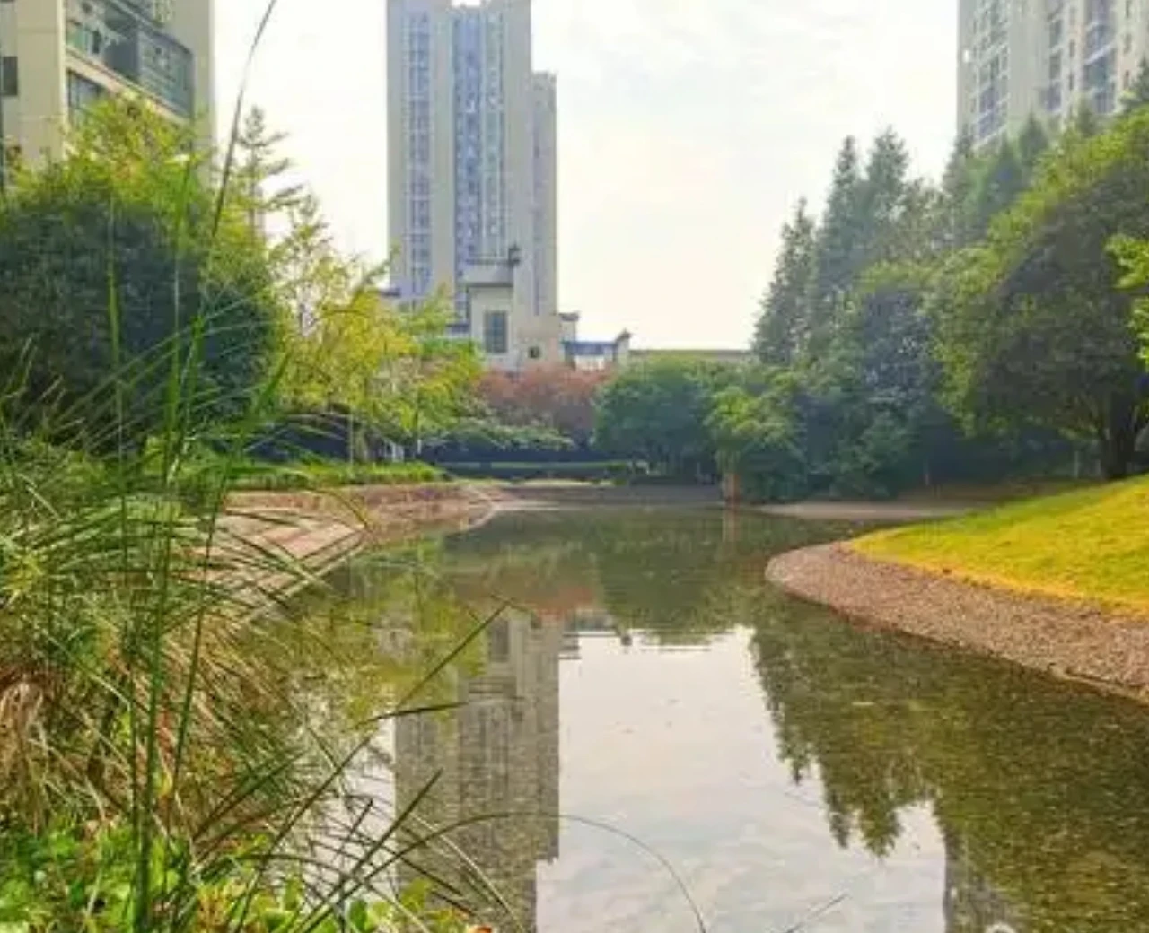 Screenshot 2024-12-19 at 13.48.40.JPG