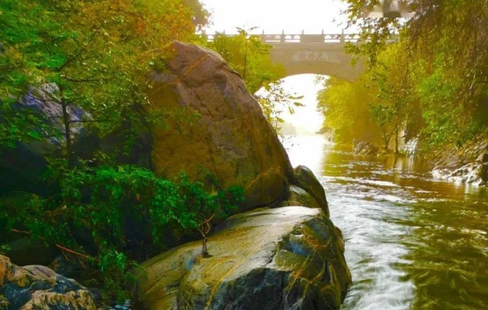 Screenshot 2025-05-05 at 13.38.15.JPG