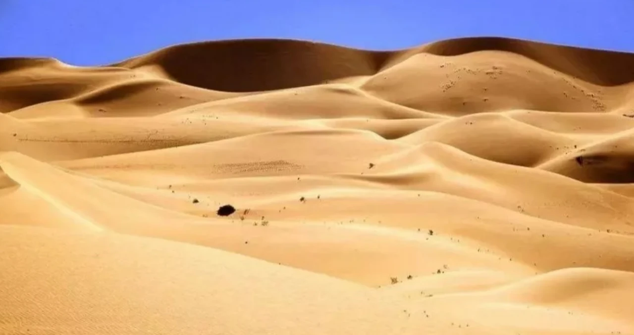 Screenshot 2024-06-22 at 18.23.07.JPG