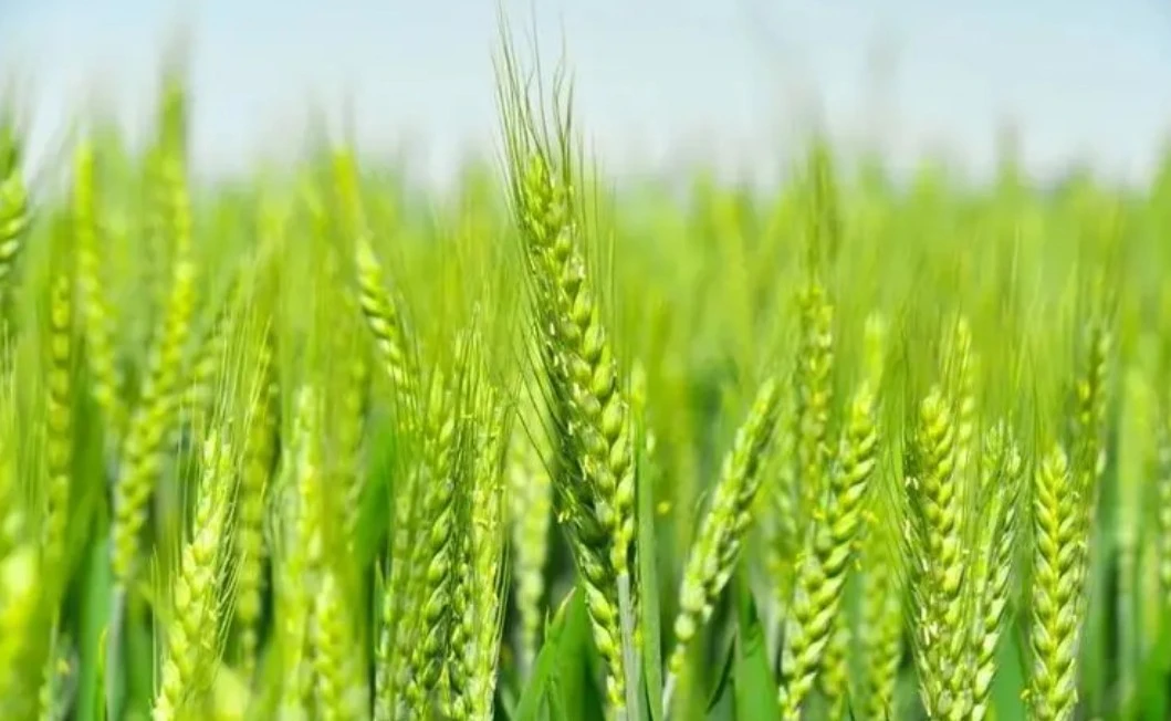 Screenshot 2024-04-22 at 19.27.43.JPG