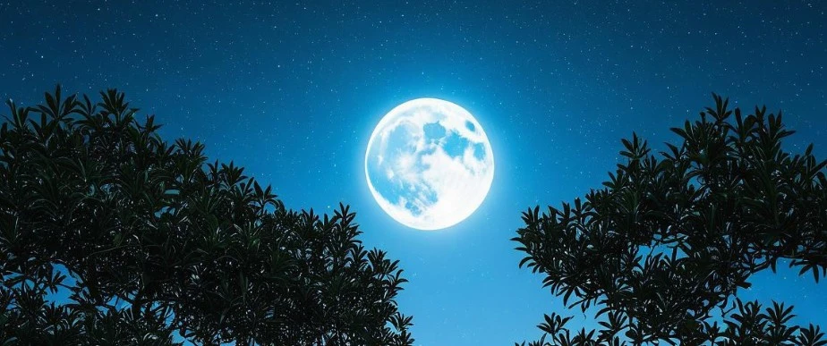 Screenshot 2025-06-19 at 23.01.23.JPG