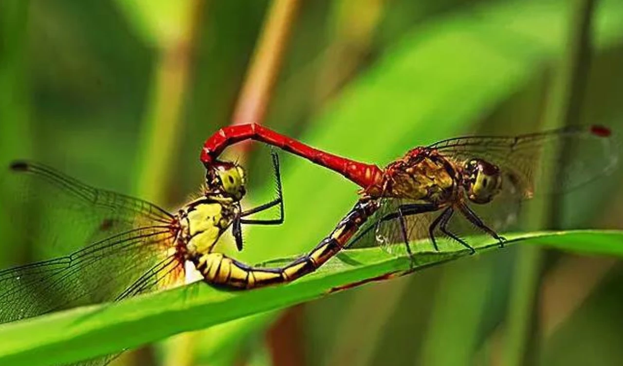 Screenshot 2025-09-10 at 23.24.26.JPG