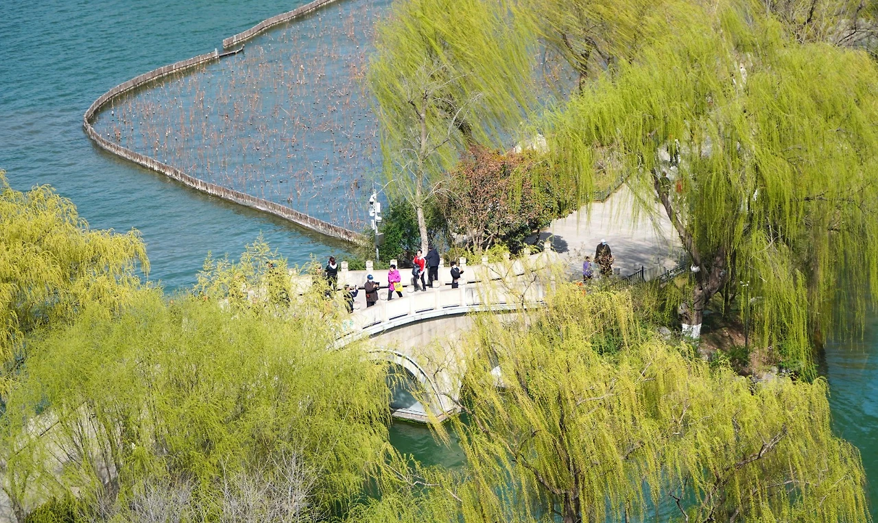 Screenshot 2024-12-19 at 00.48.24.JPG