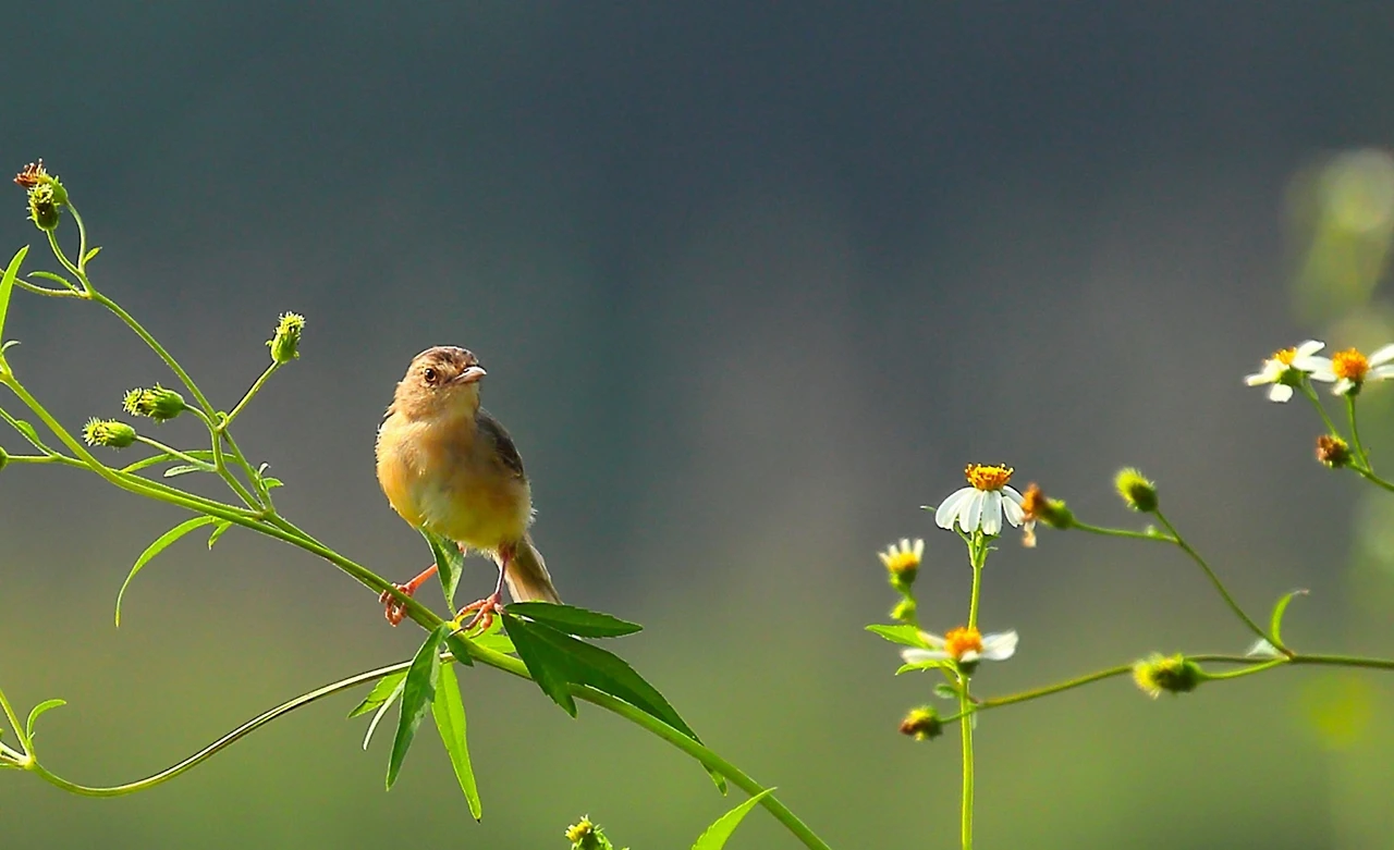 Screenshot 2024-04-25 at 00.41.45.JPG