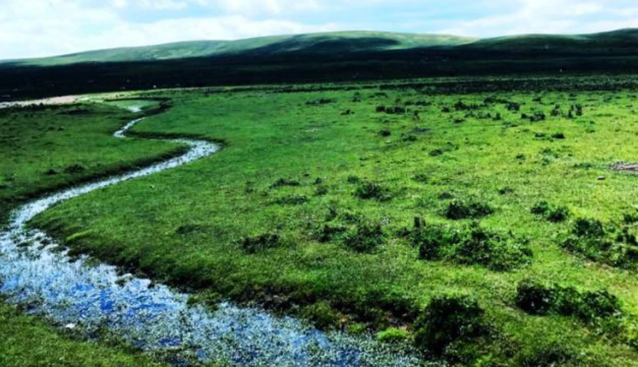 Screenshot 2024-07-18 at 22.33.21.JPG