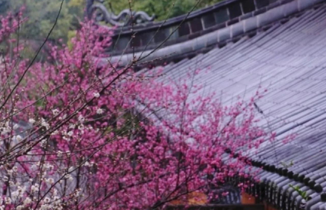 Screenshot 2025-04-06 at 13.30.49.JPG