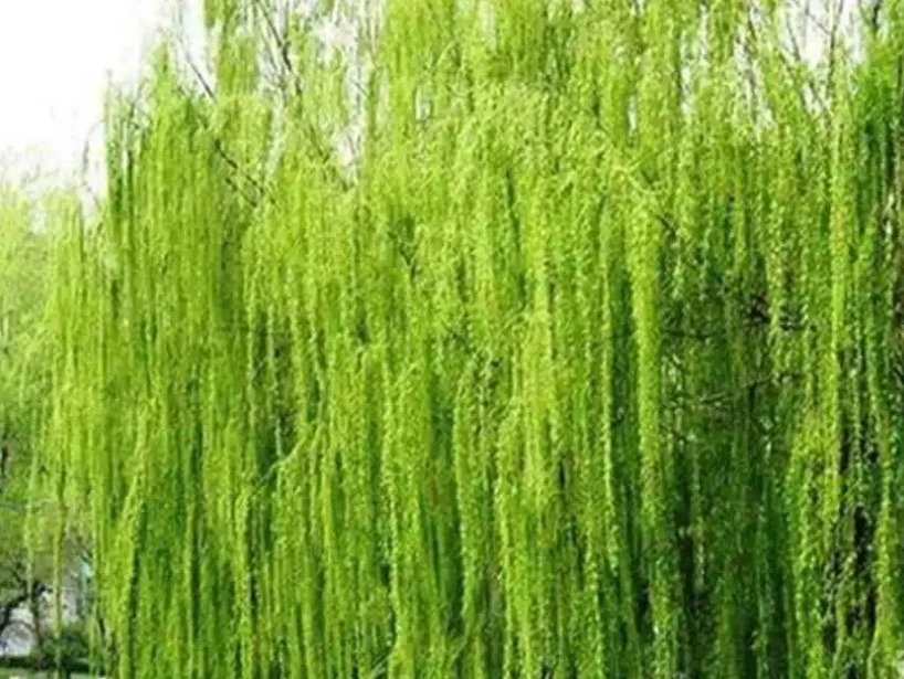 Screenshot 2024-03-02 at 01.04.30.JPG