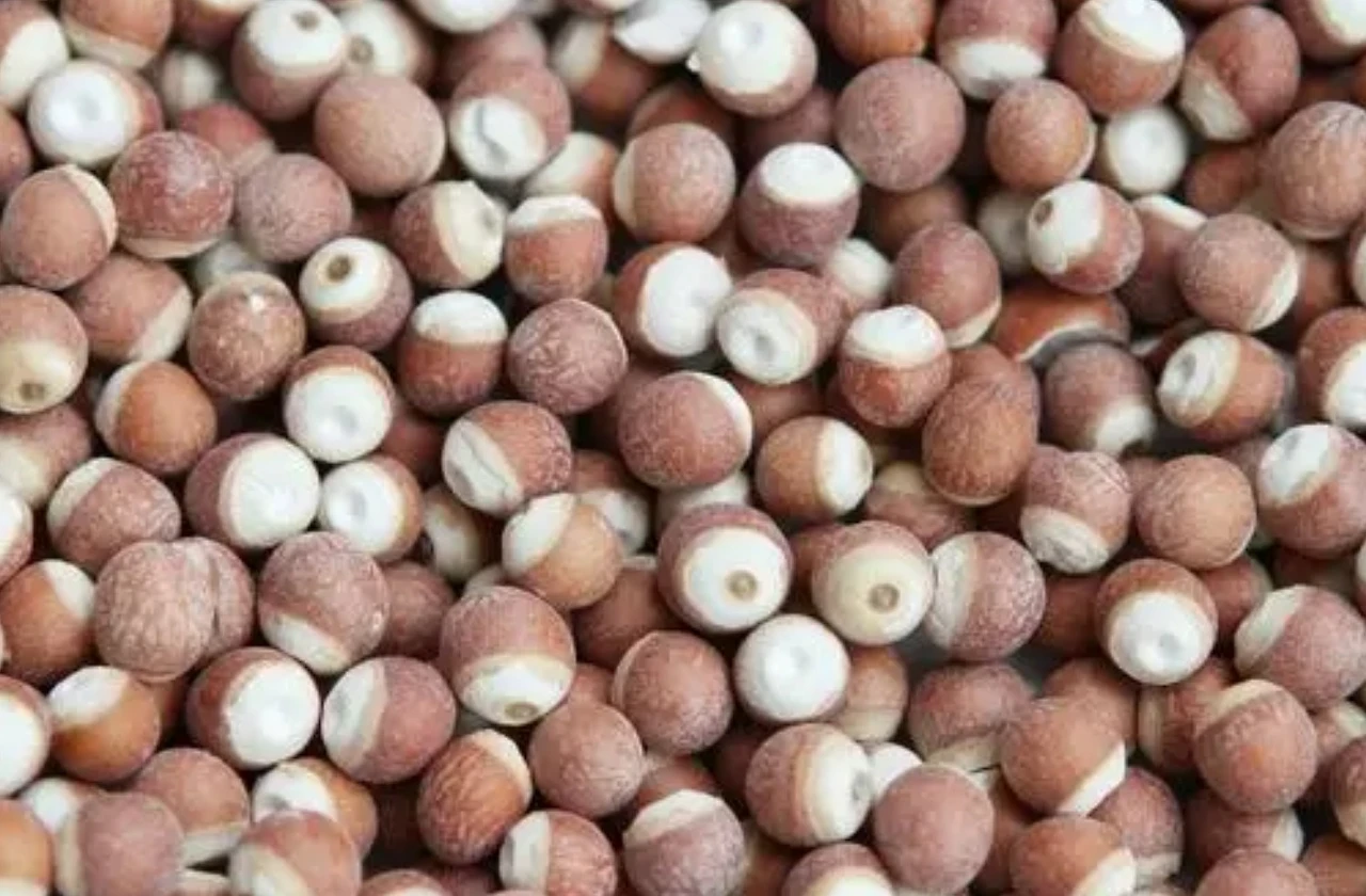 Screenshot 2024-07-13 at 23.25.08.JPG