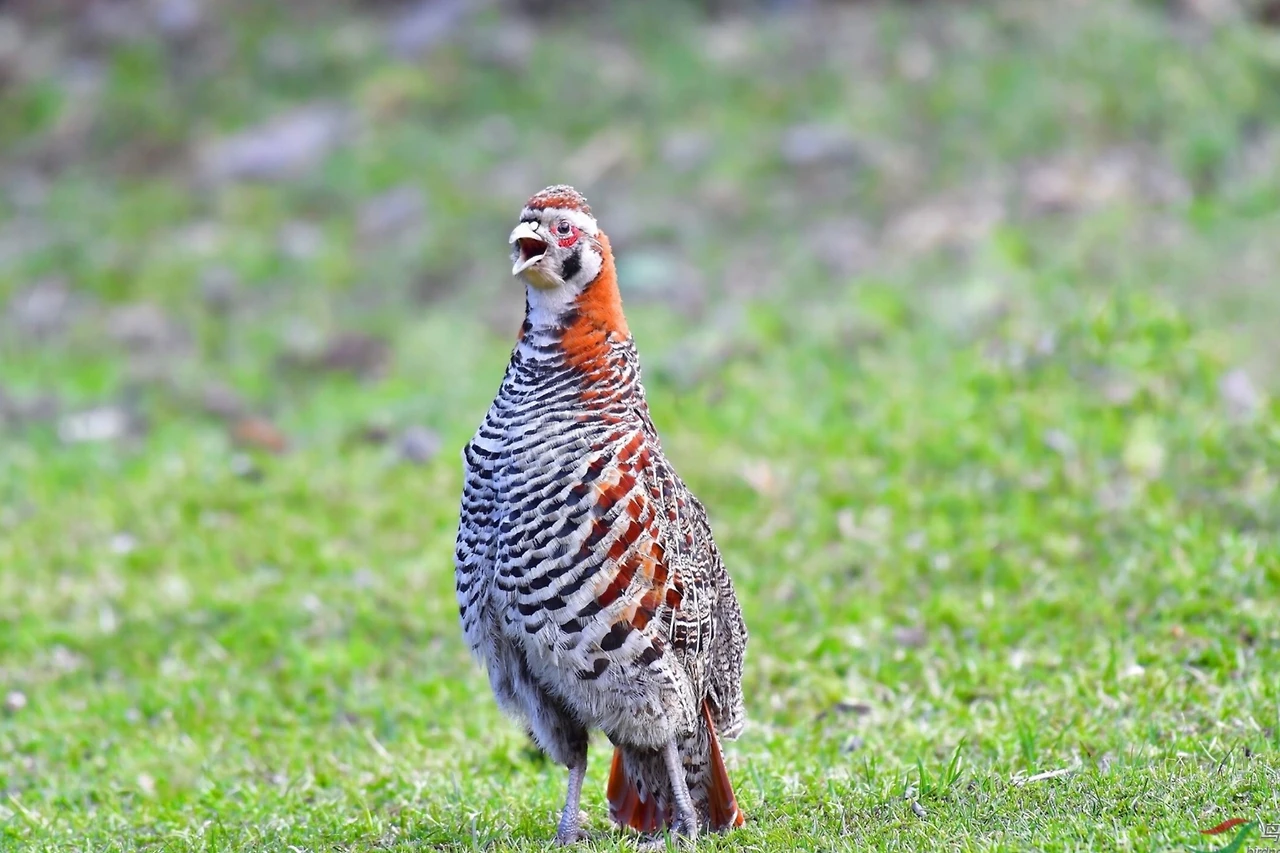 Screenshot 2024-07-20 at 00.02.32.JPG