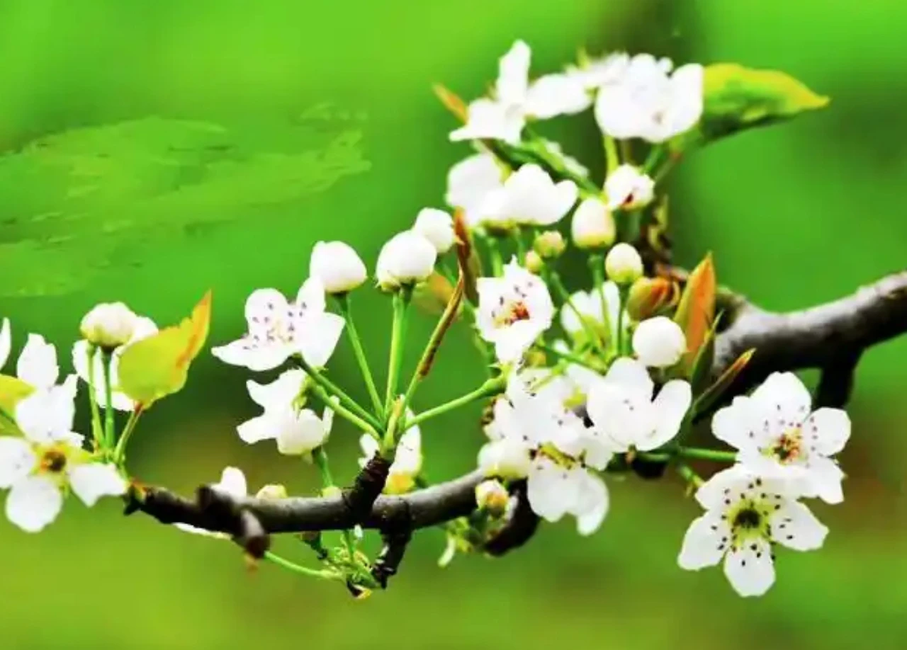 Screenshot 2024-12-20 at 23.16.36.JPG