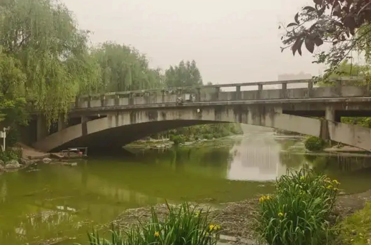 Screenshot 2024-12-19 at 00.04.56.JPG